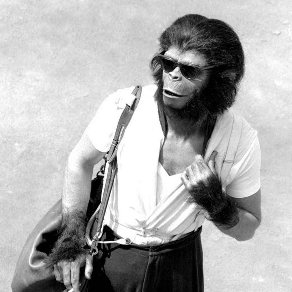 Mr. Chimpanzy