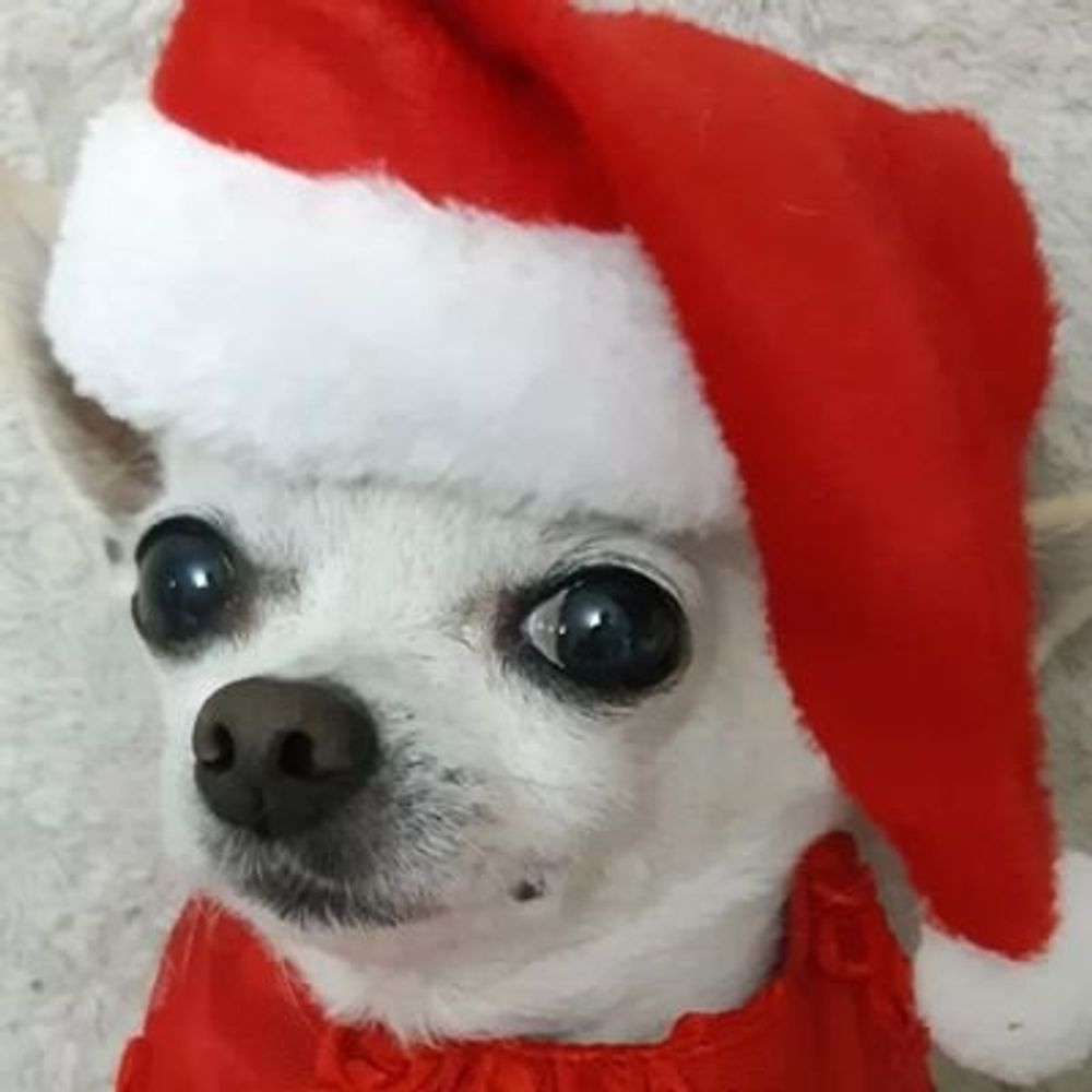 뗠기