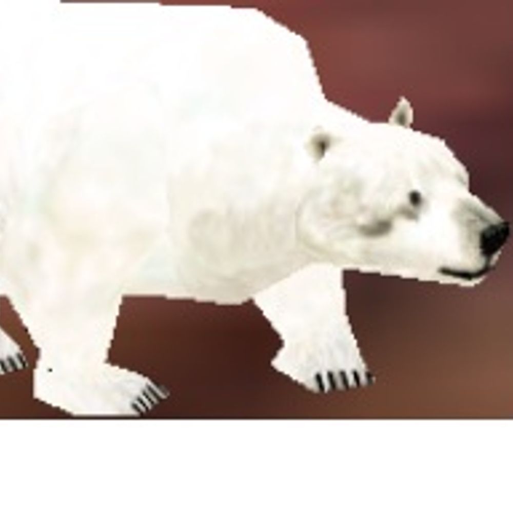 Mathi Bear