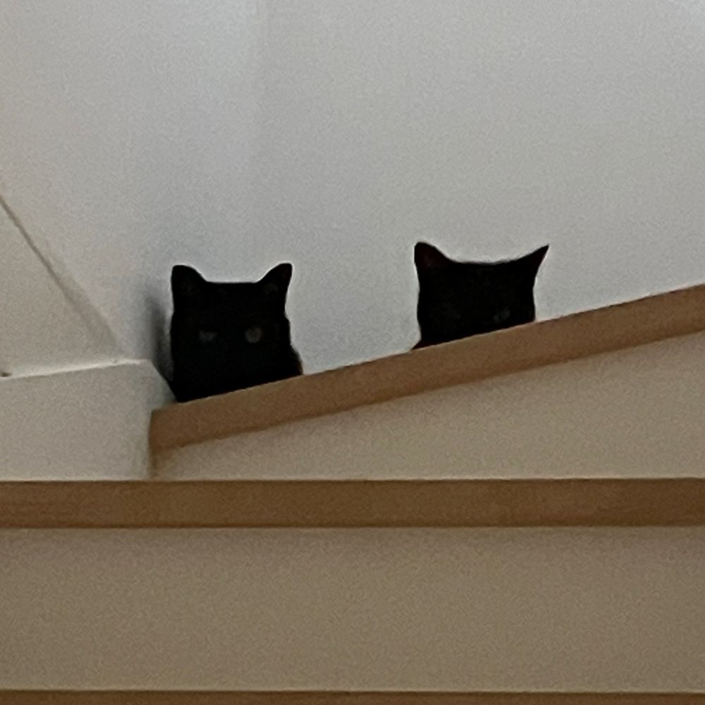 ともよし