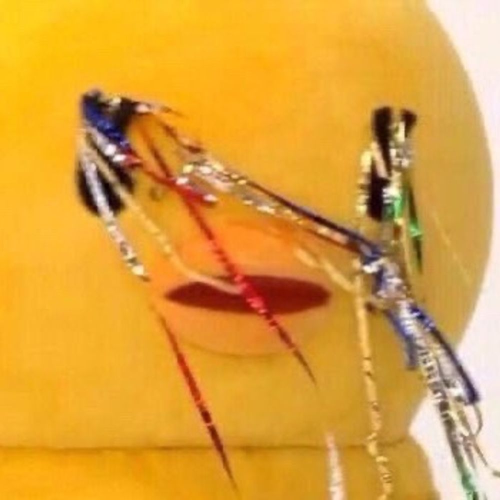 🐤