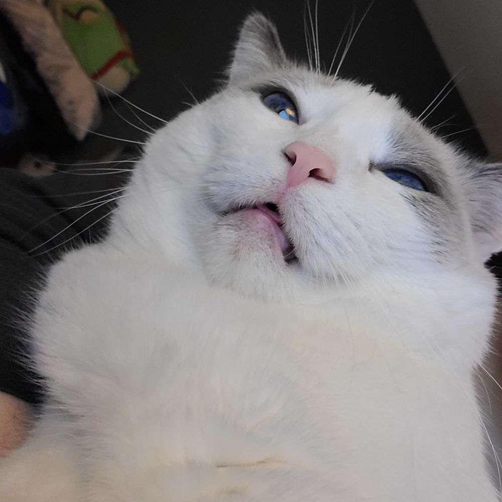 Kat🌈✨️