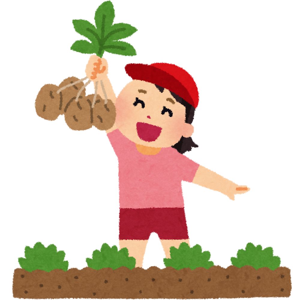 おいもさん