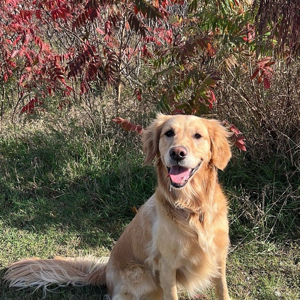 rachelking1.bsky.social