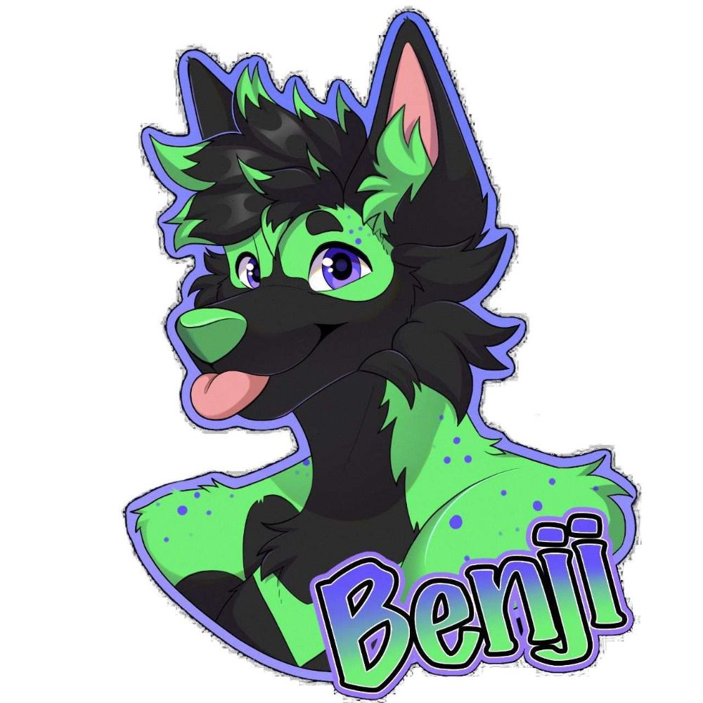 BenjiTheWusky