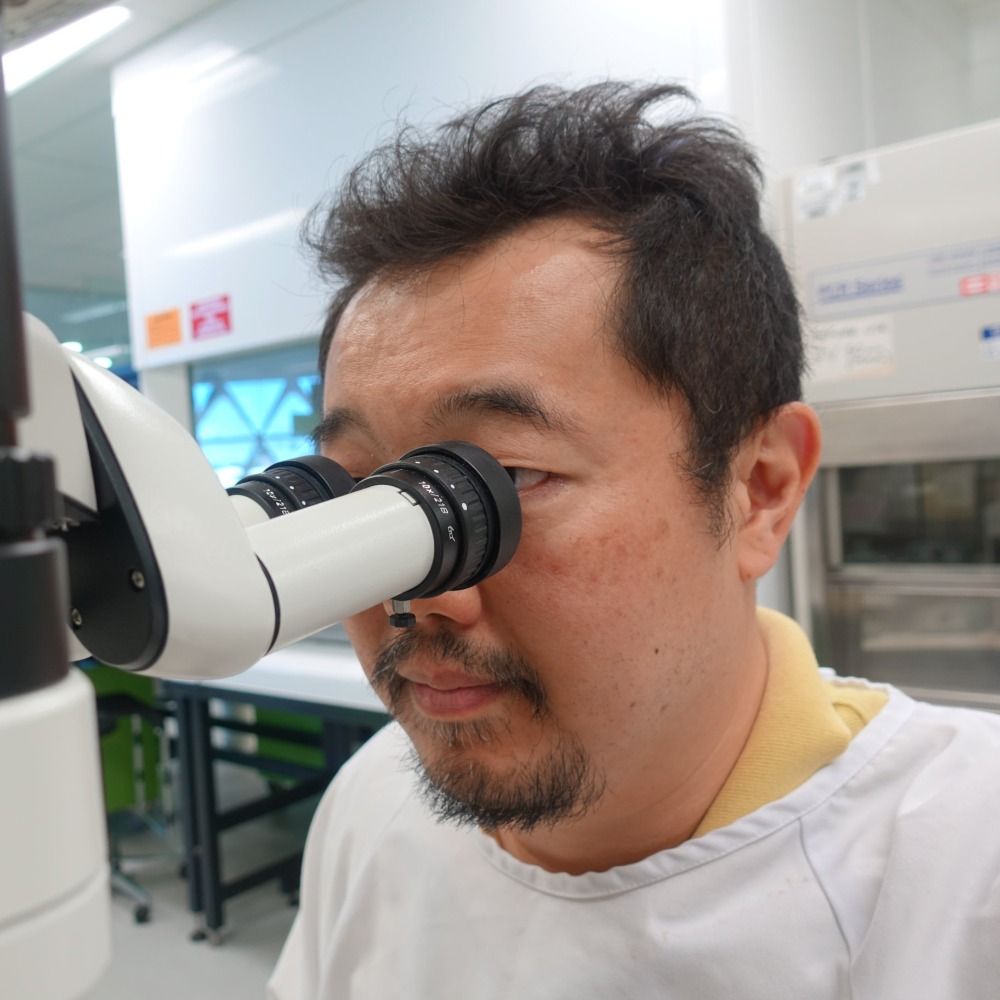 Makoto Kamei