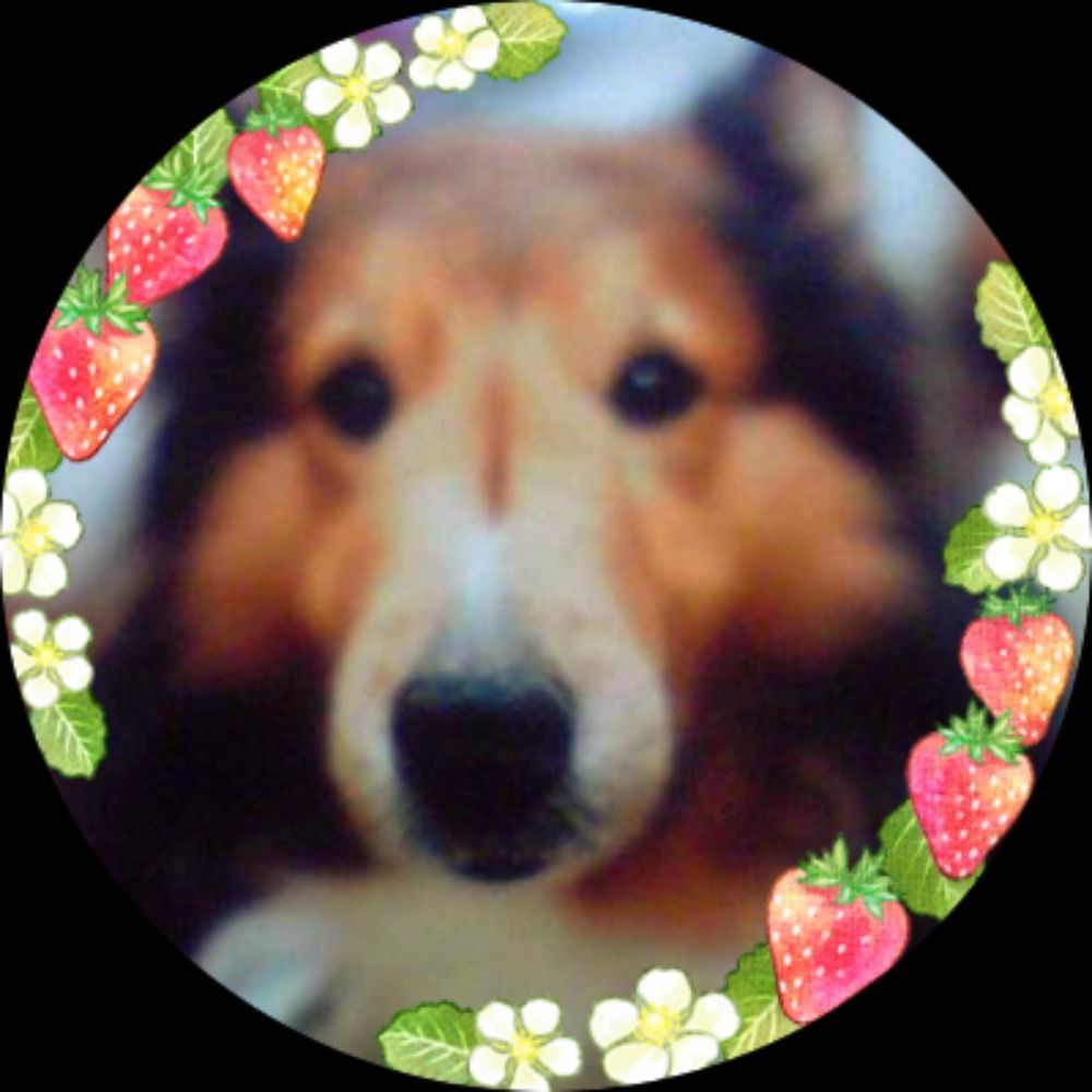 友偉もしくは桜
