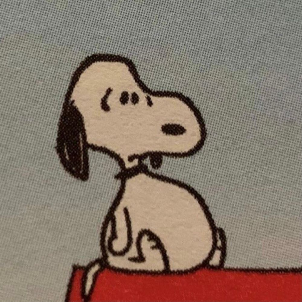      babi