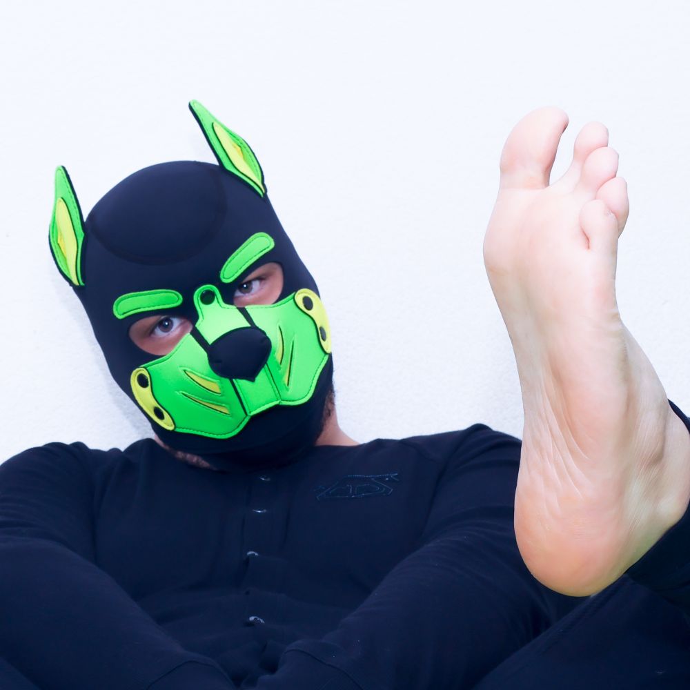 Pup Blackdrake