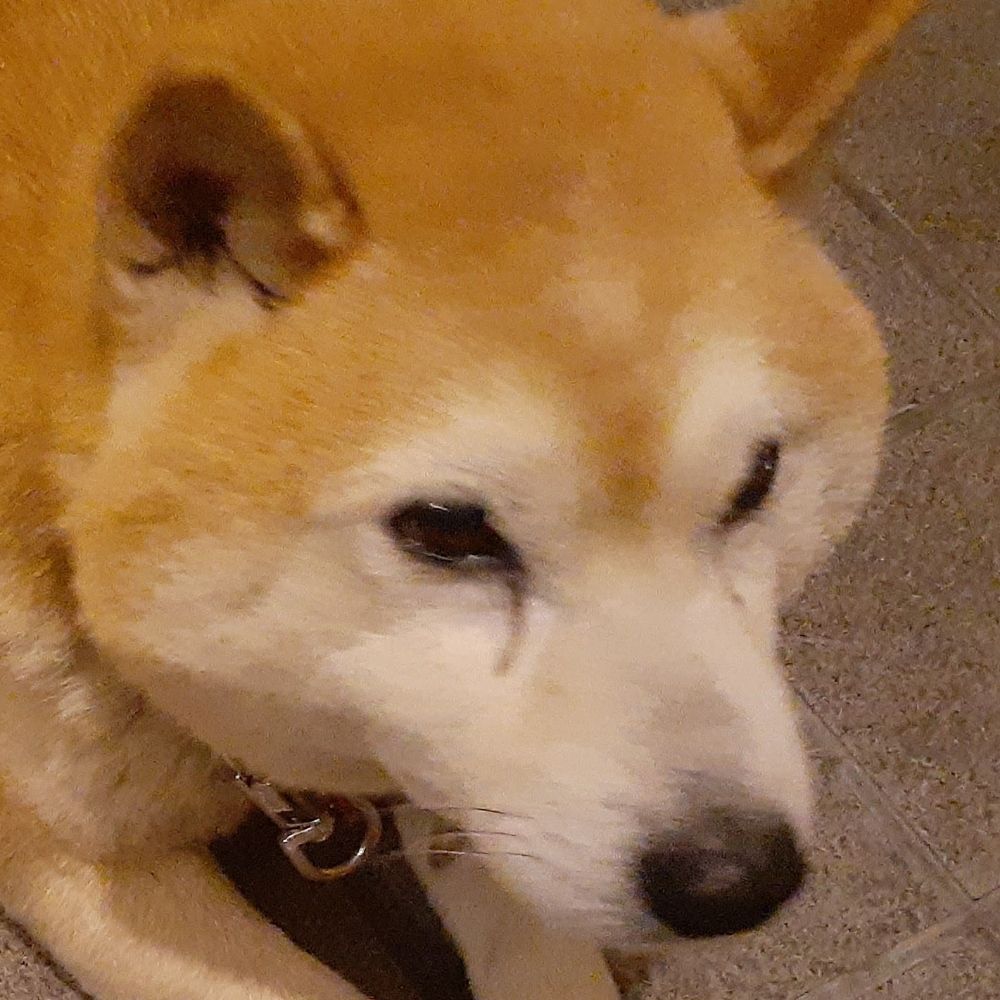 るーつ