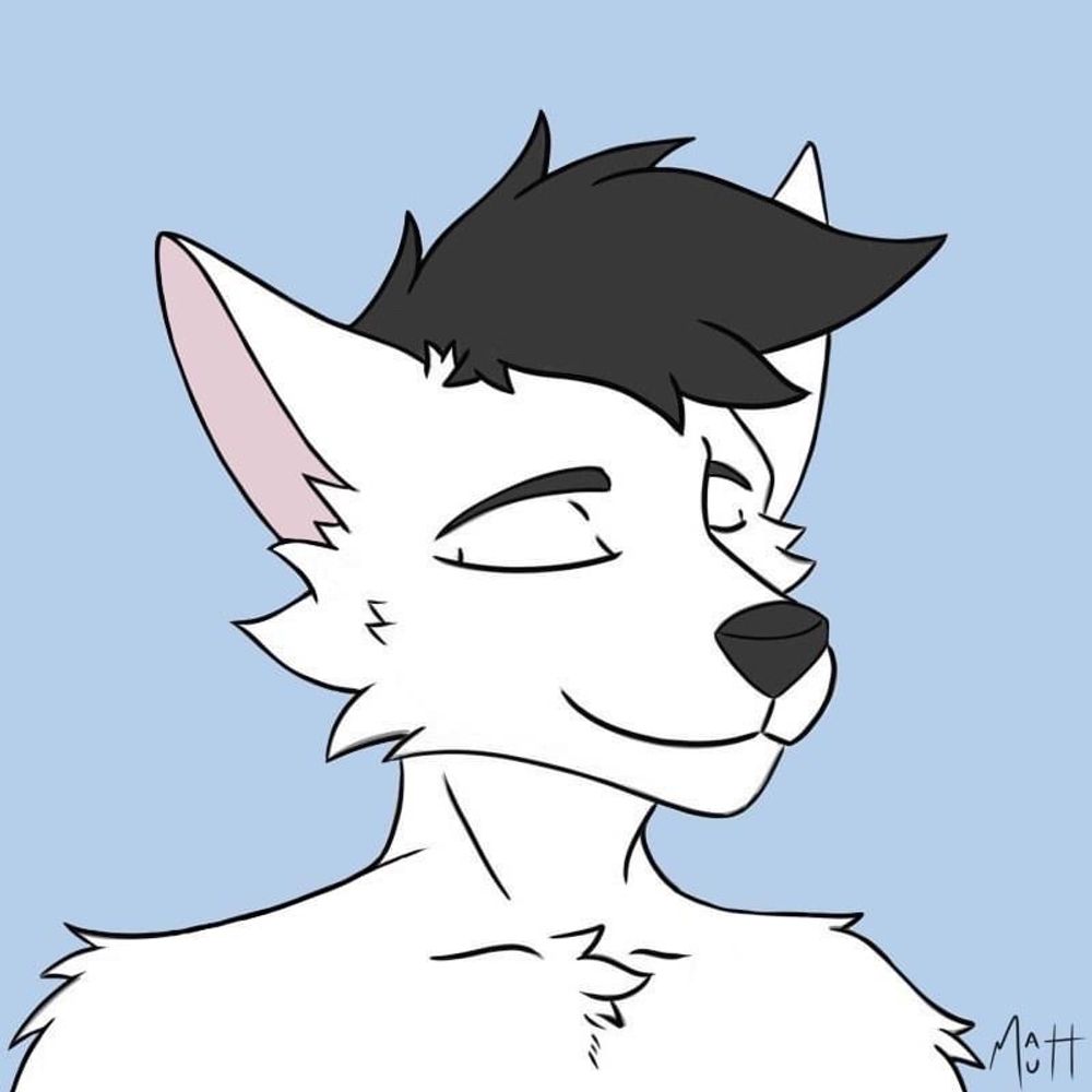 Matt Mutt