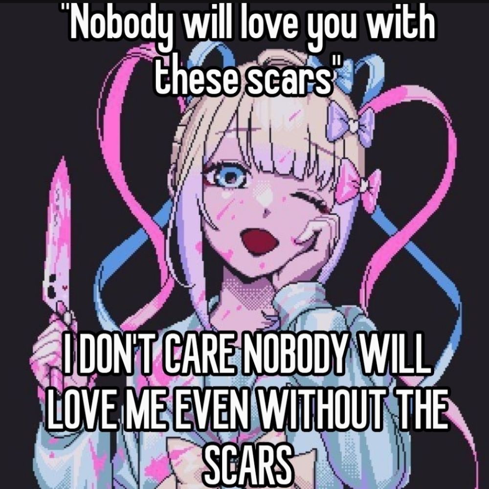 attn seekr • sh/ed