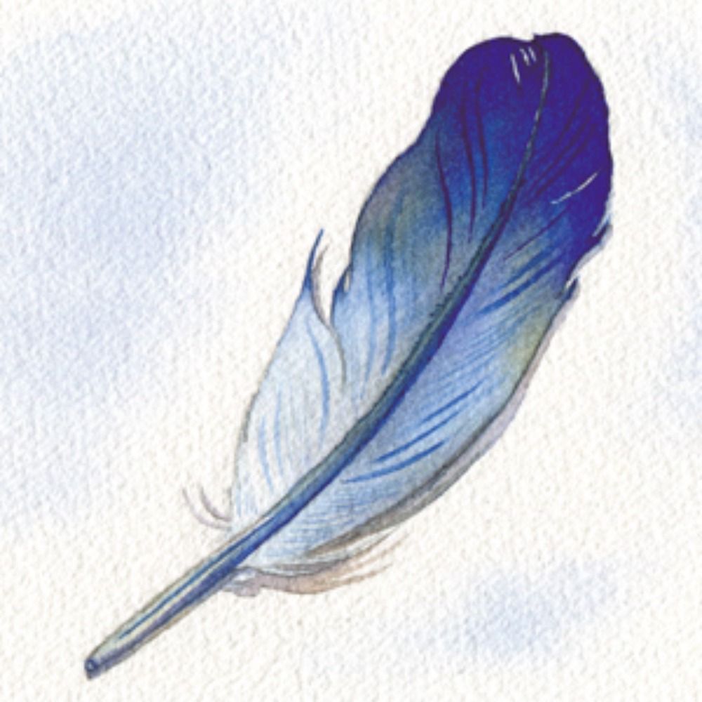 HANE watercolor illustrations's avatar