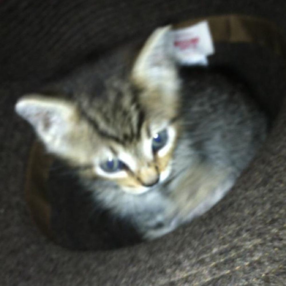 smol