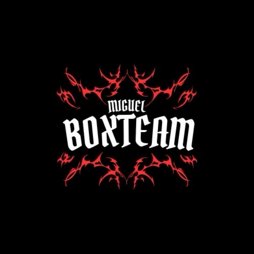 Miguelboxteam