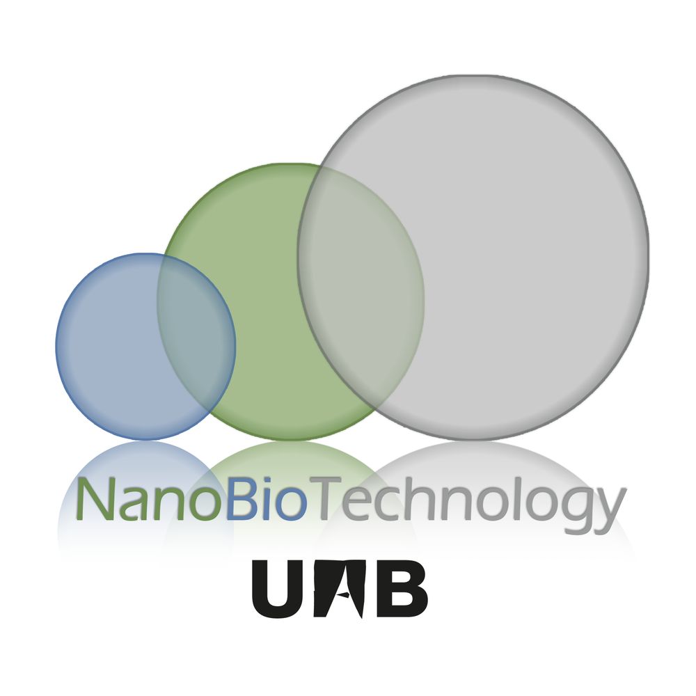 NBT (IBB-UAB)