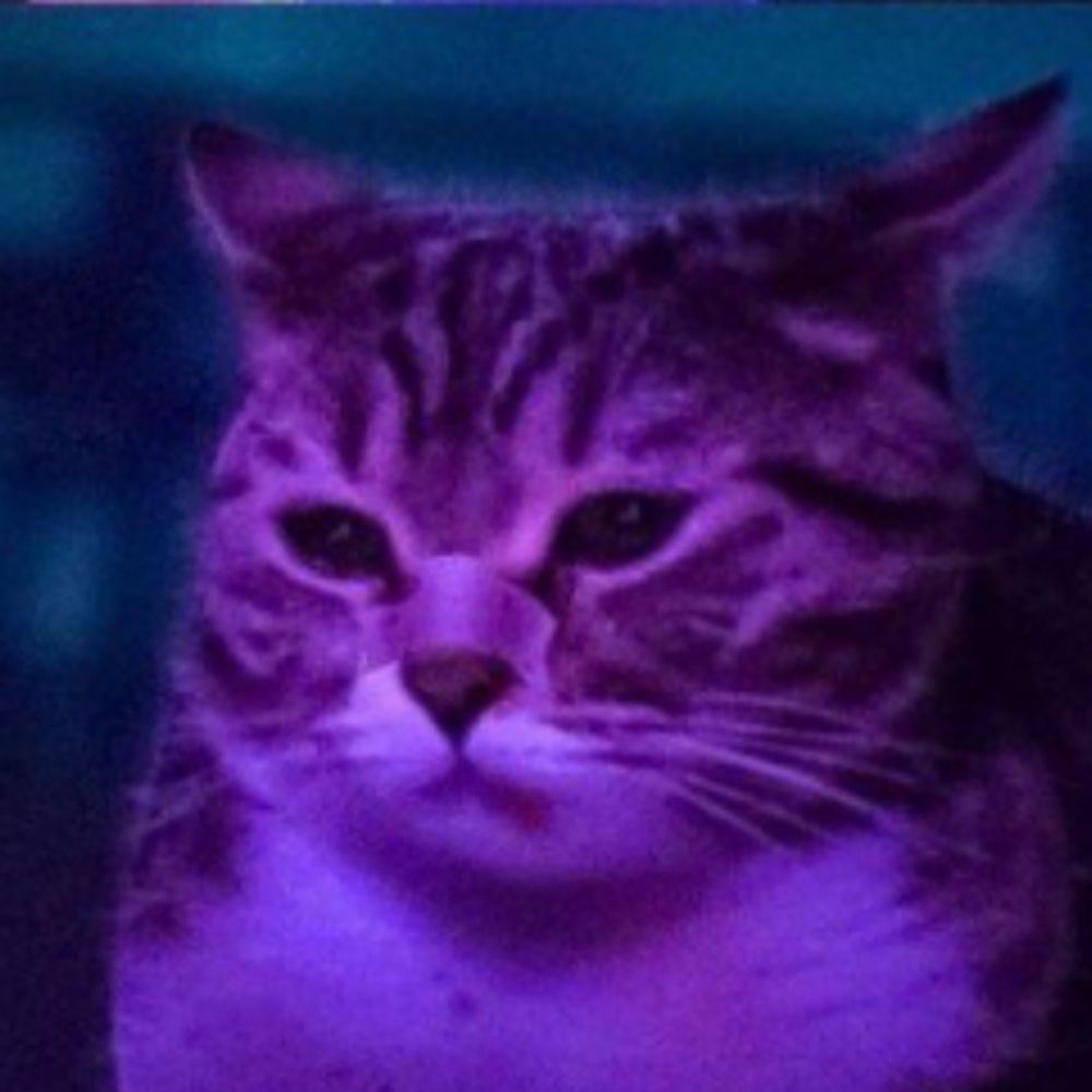 Kevin