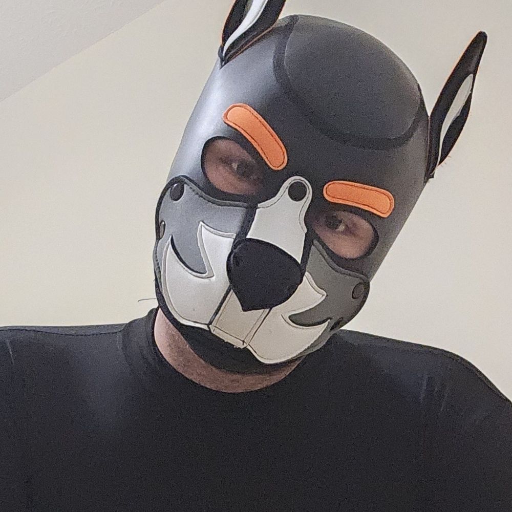 Pup Ori
