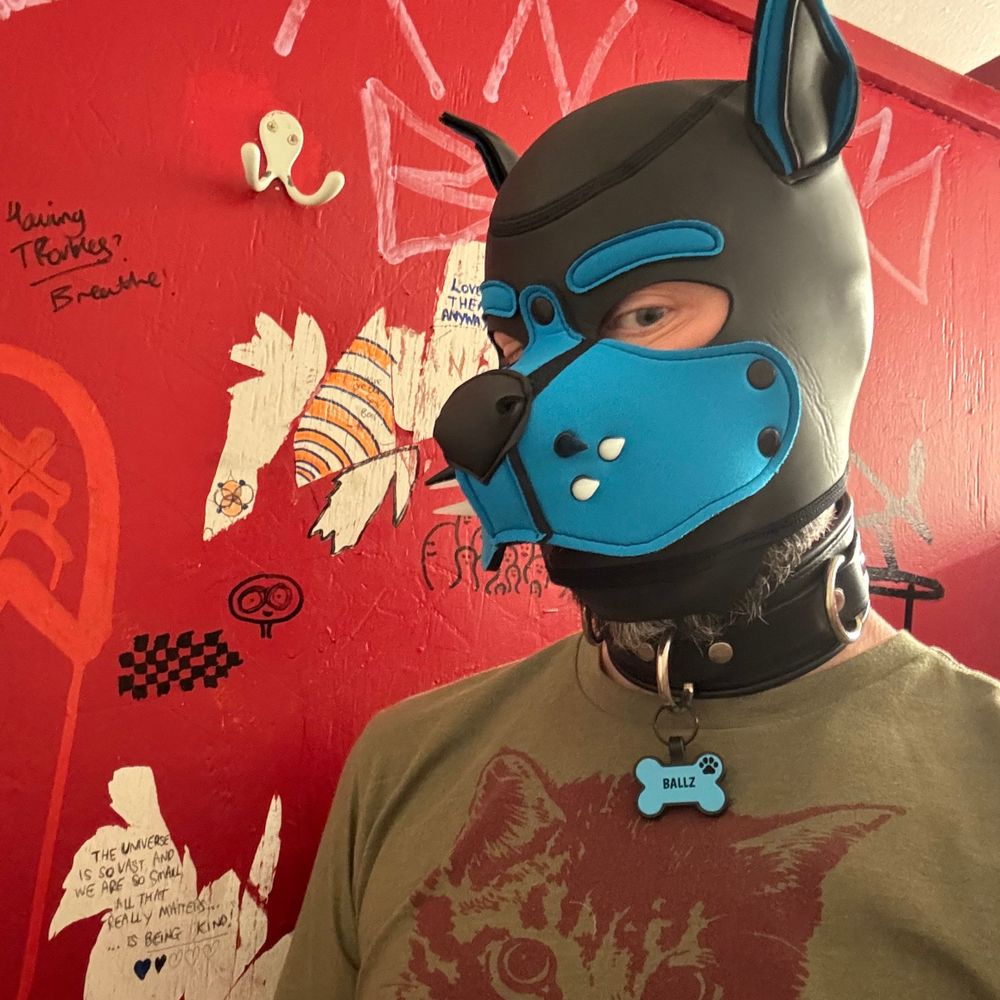 Profile picture pupballz.bsky.social