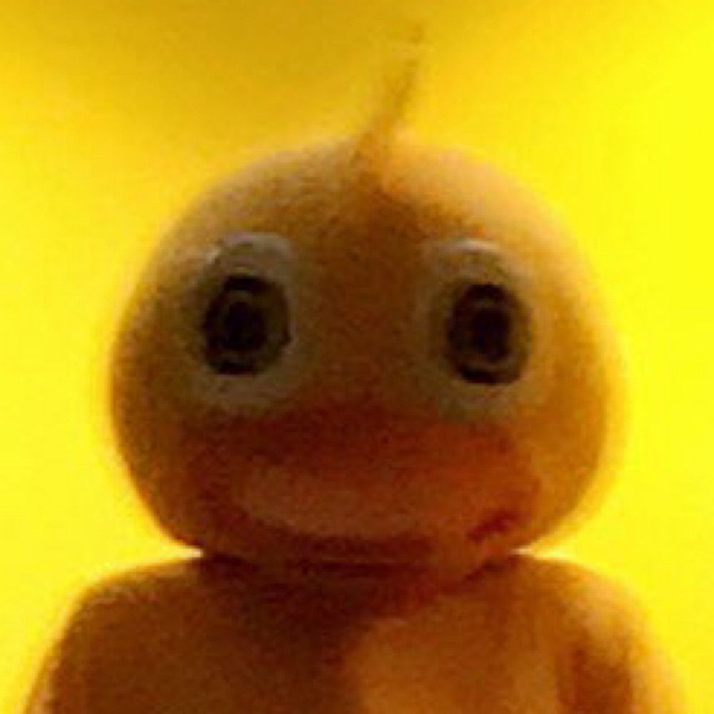 Local Duck