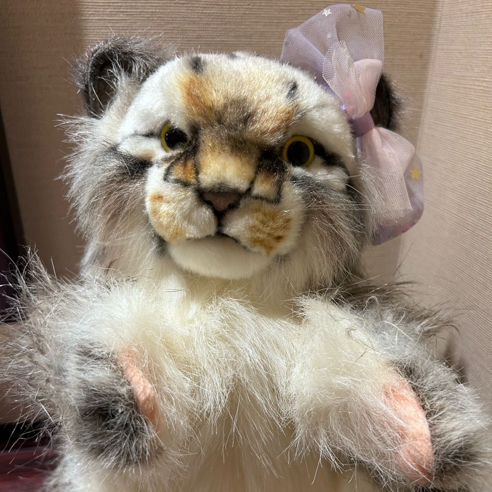ひーちゃん