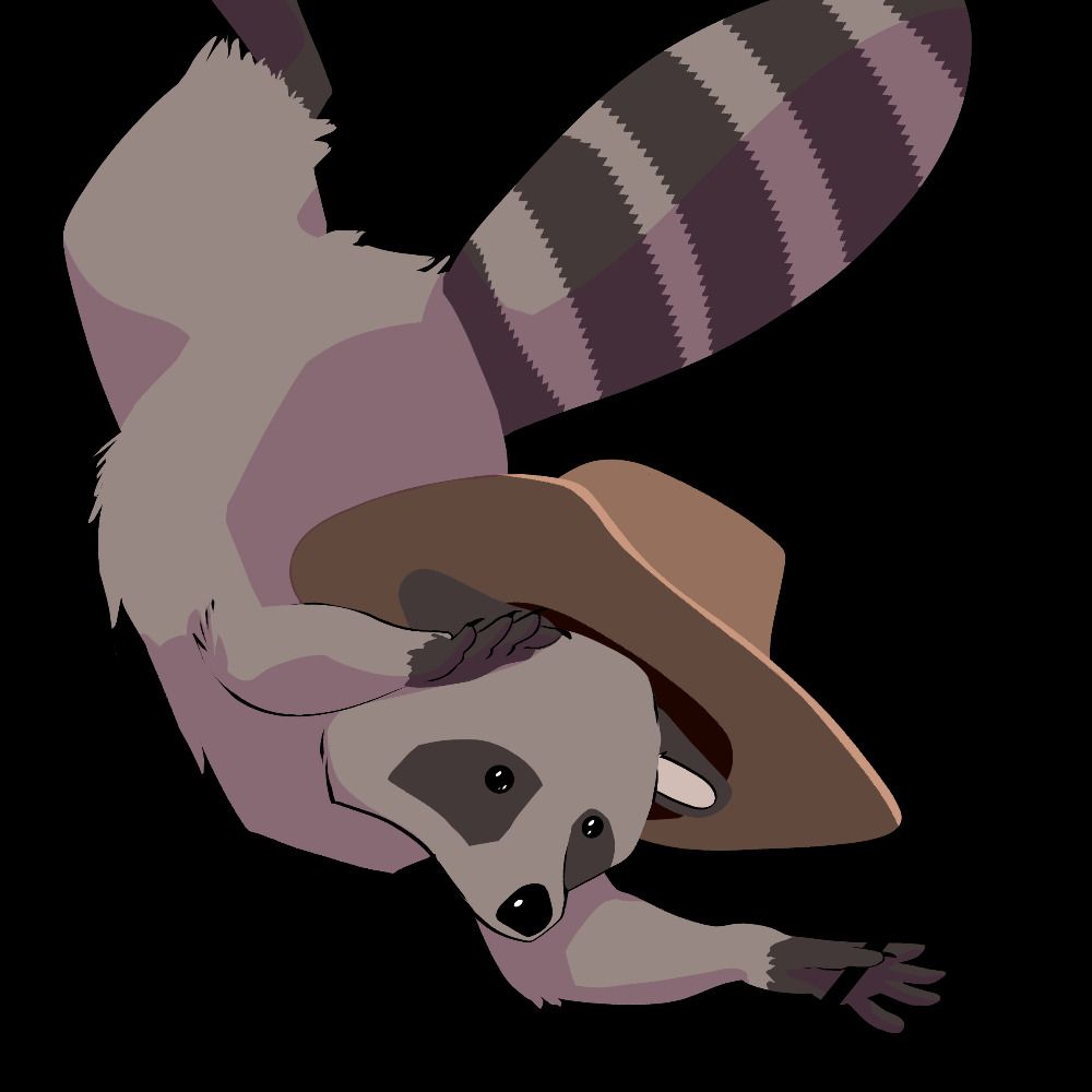 Year of the Raccoon's avatar