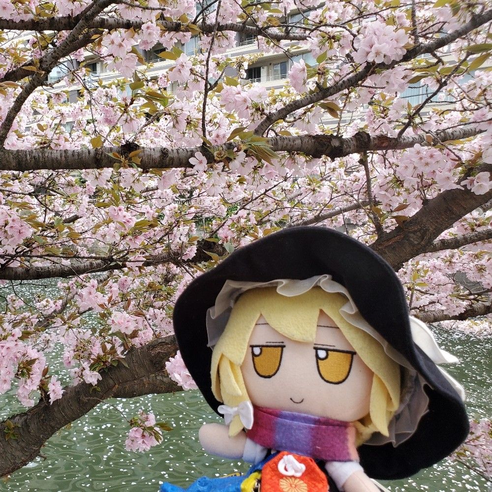 A haunted Marisa plushie 