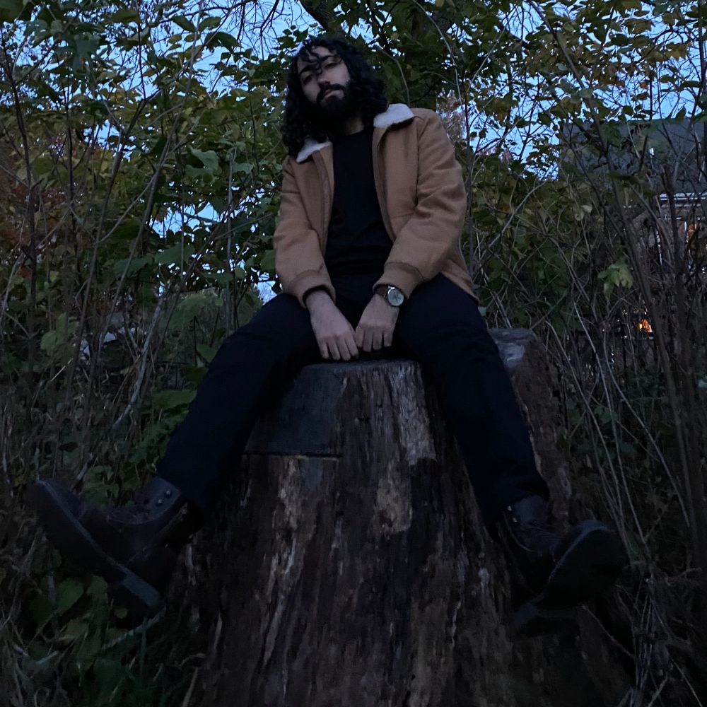 Anas