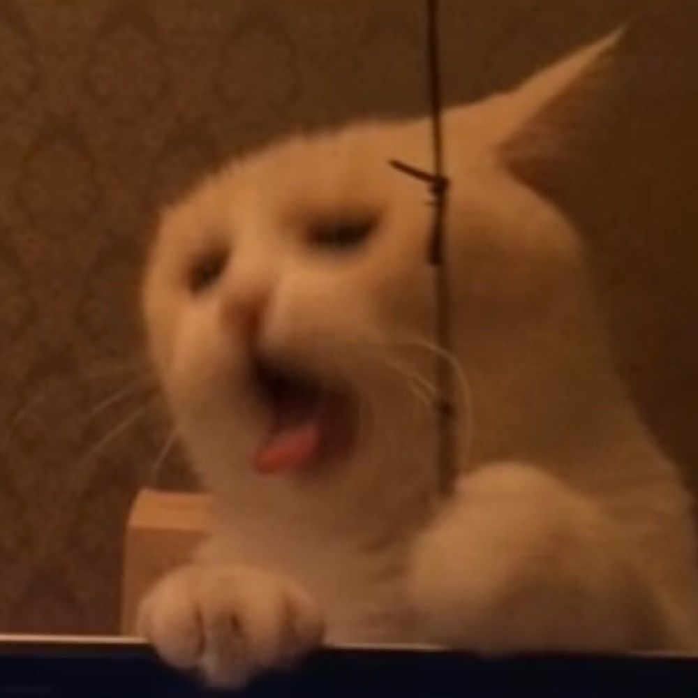 冷淡