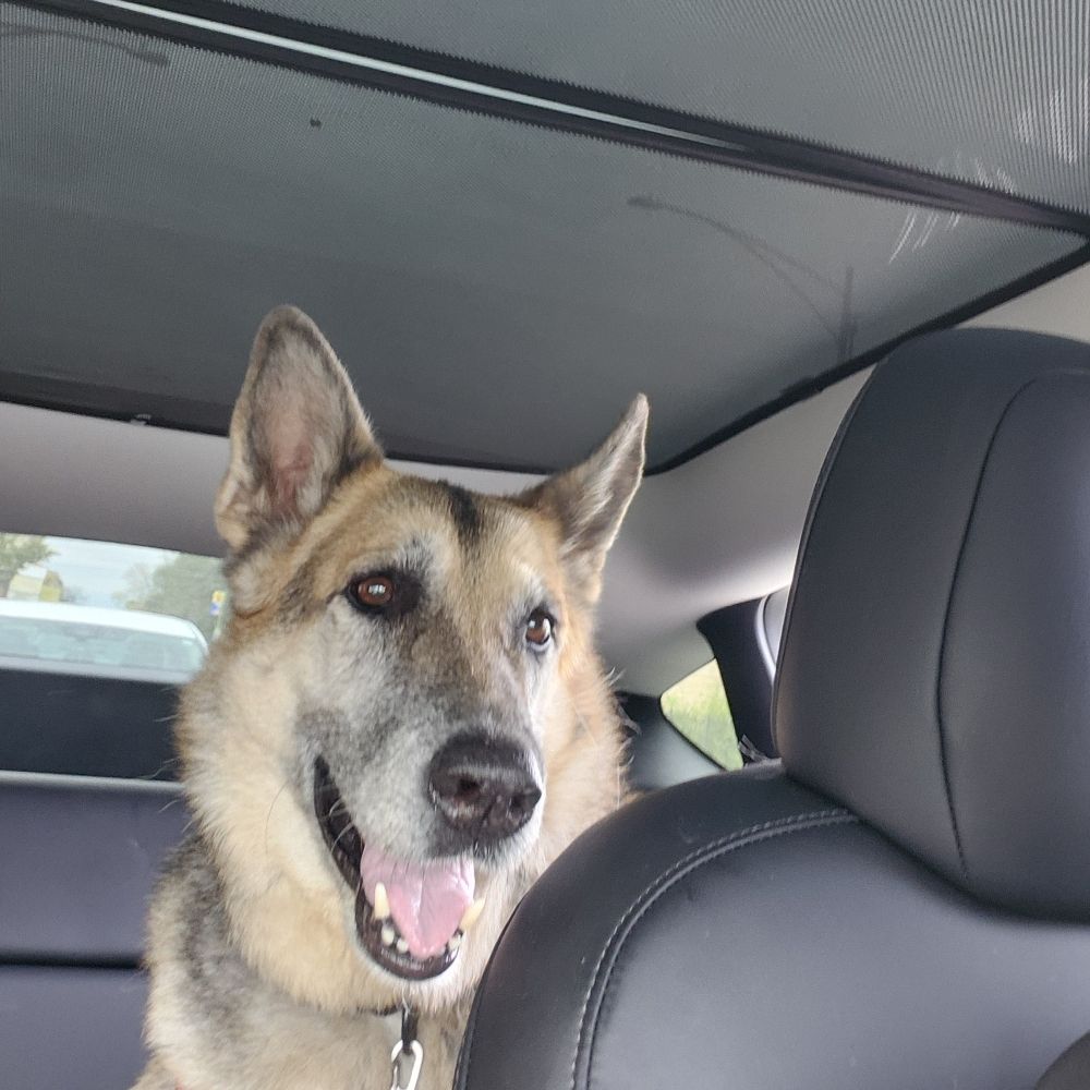 amberwrite.bsky.social