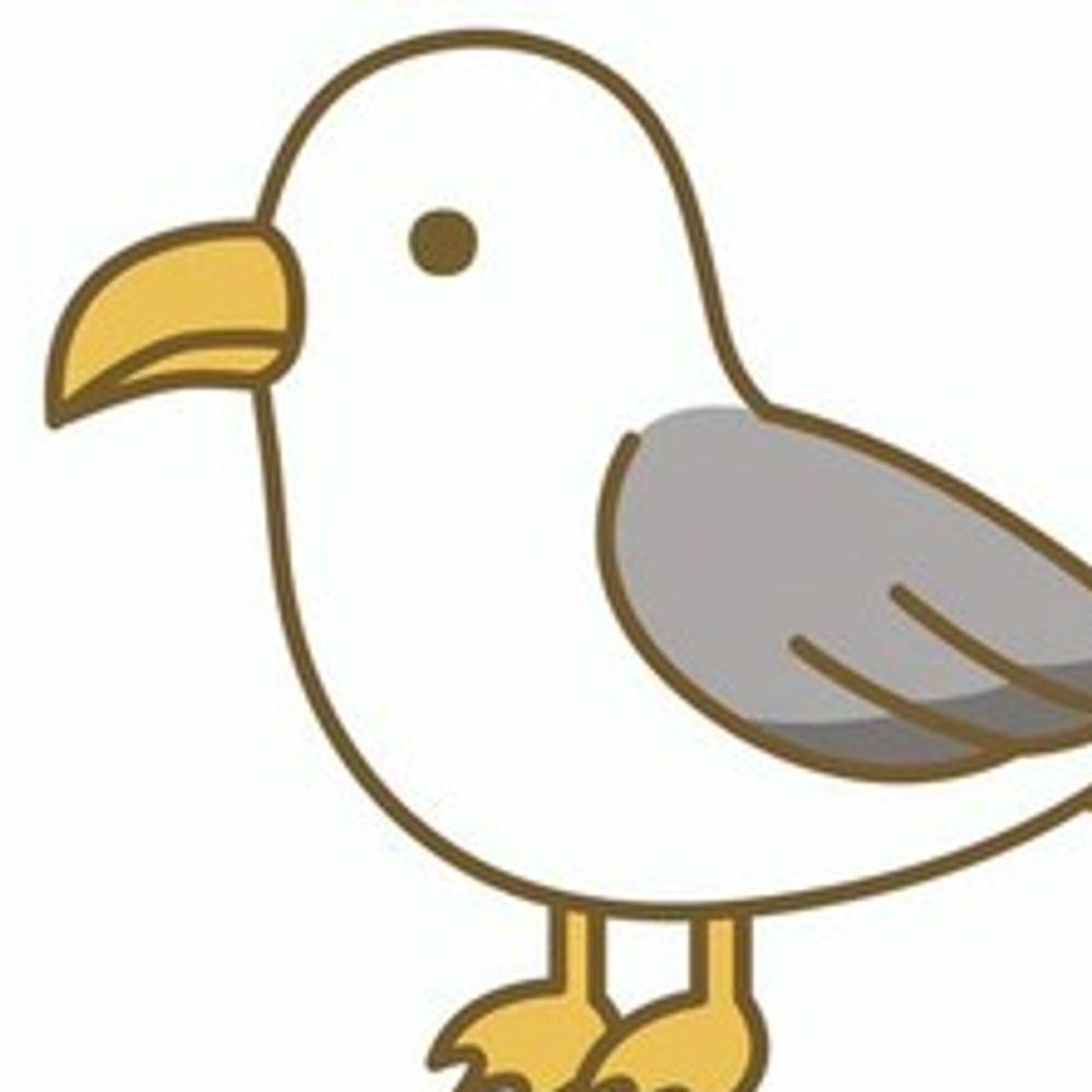 QuantumSeagull