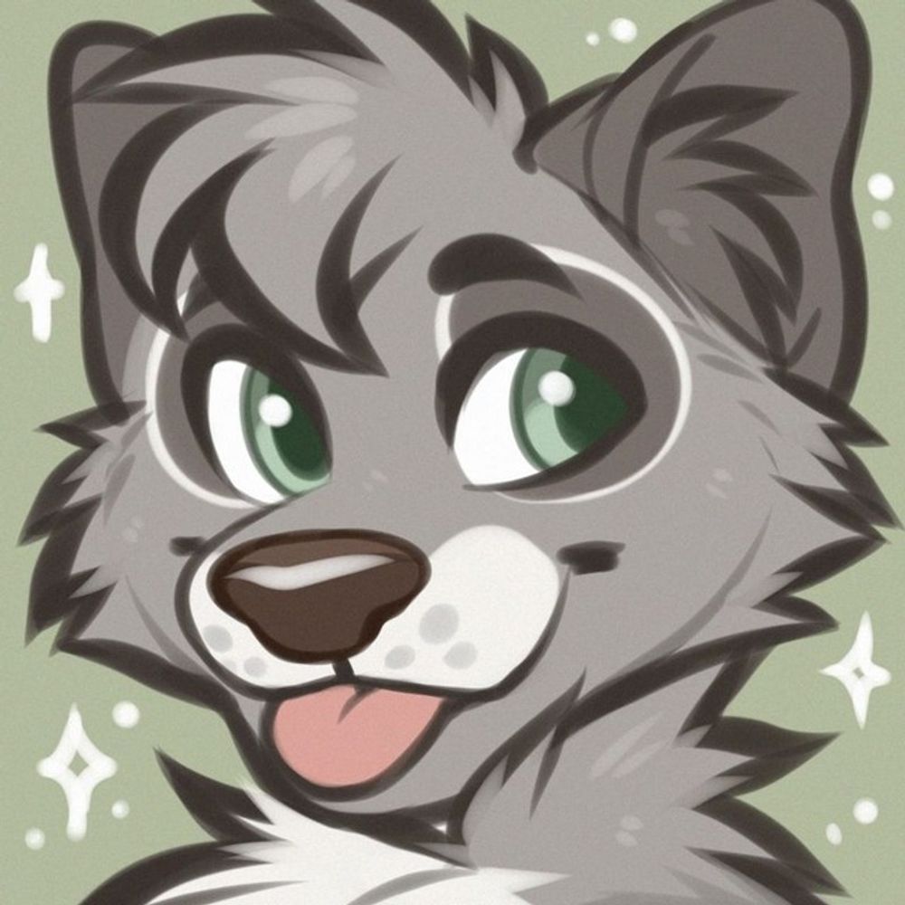 Gizmo Fluff 🦝