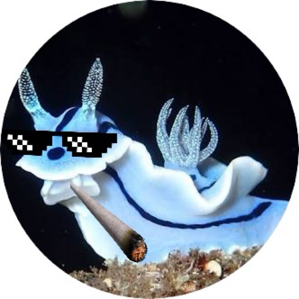 伊良幡