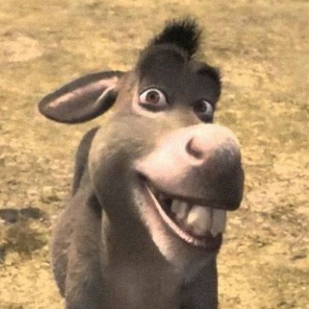 Donkey B.