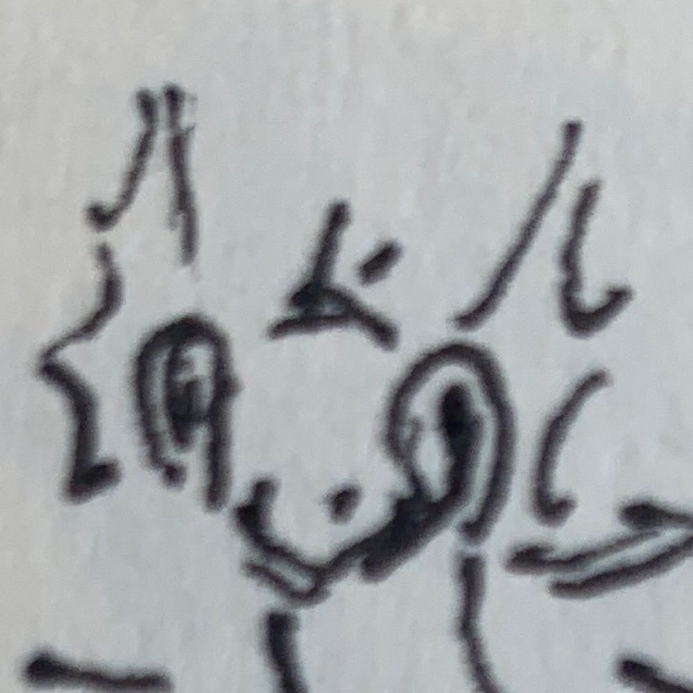 Squid