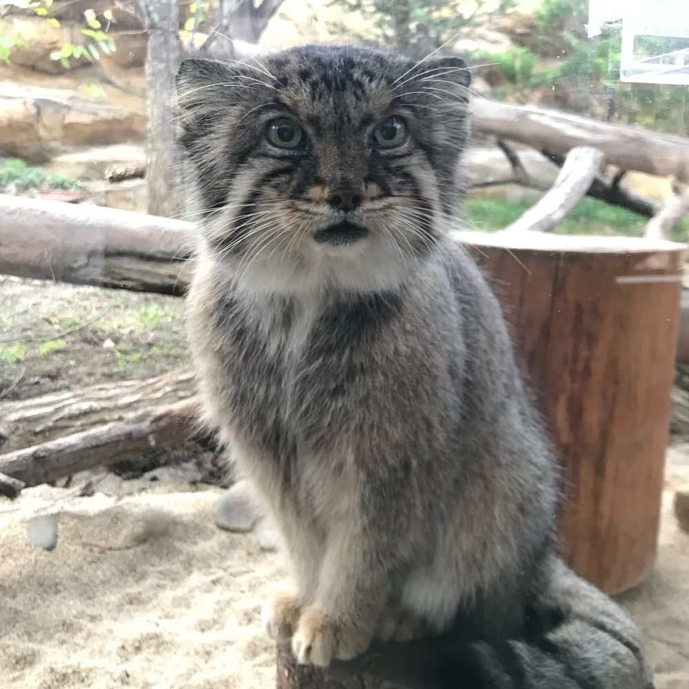 ふぐふぐ