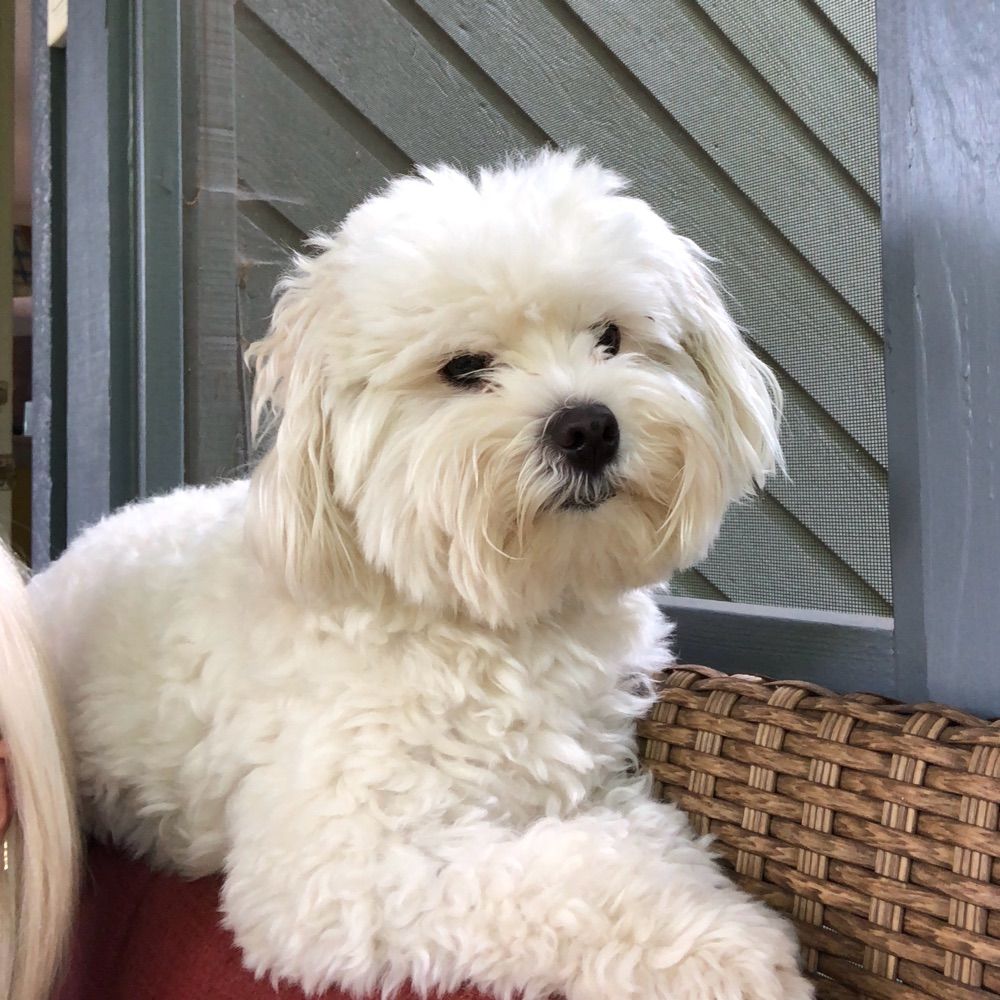 ramseyblue13.bsky.social