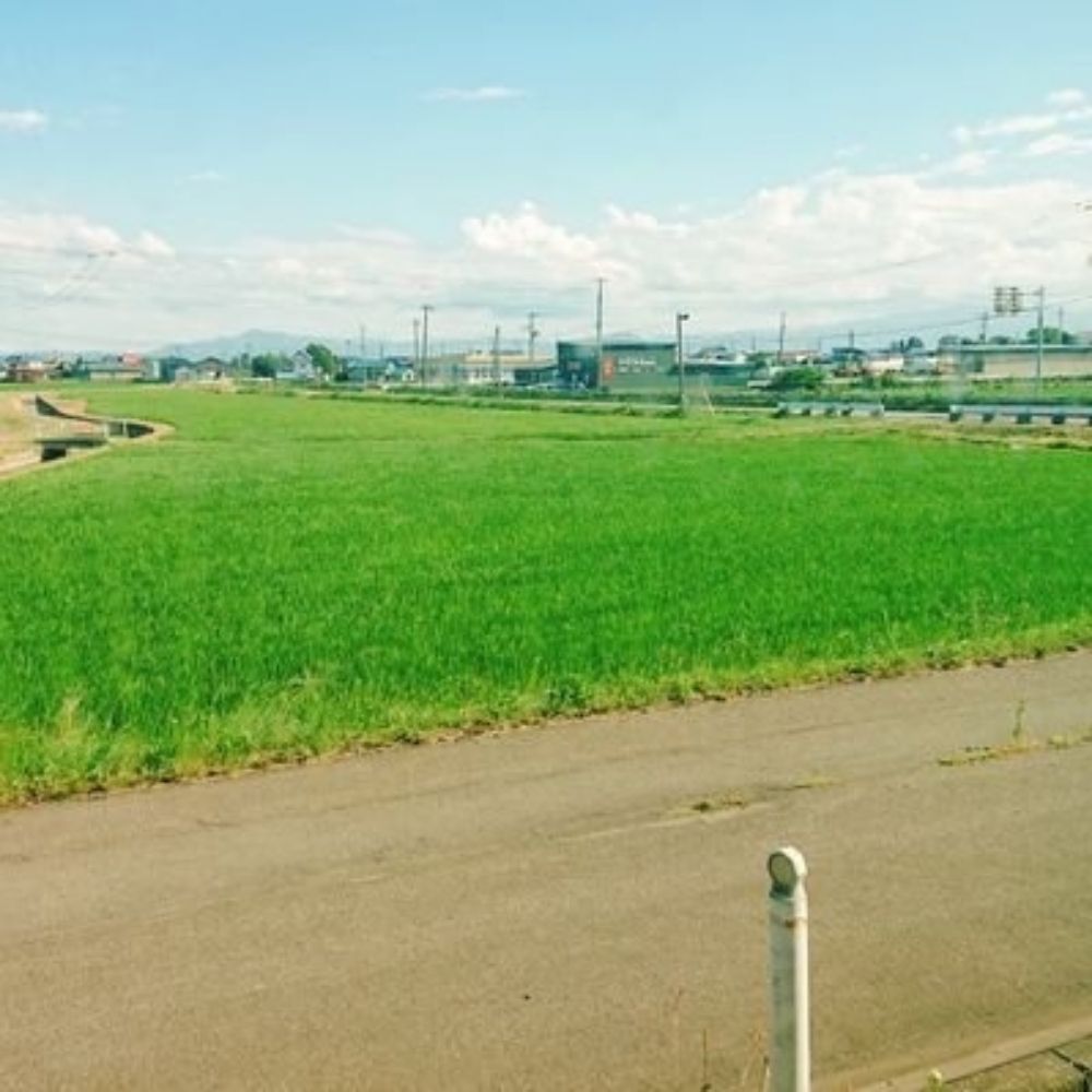 すいじょう