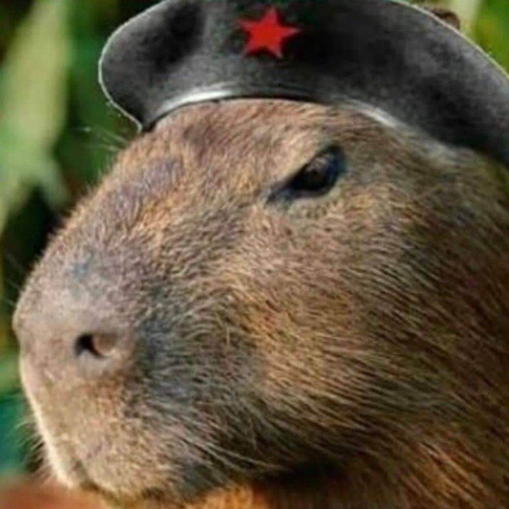 Kapy Marx