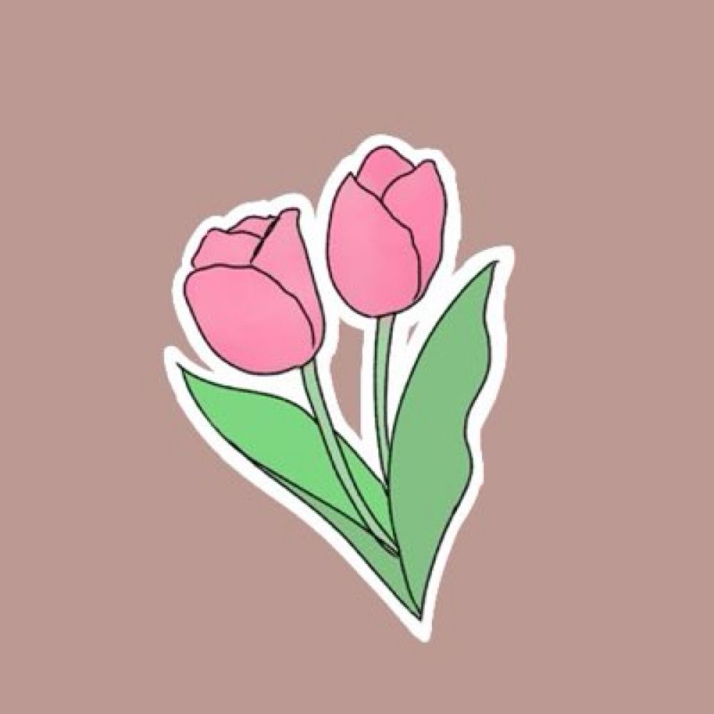 水葵