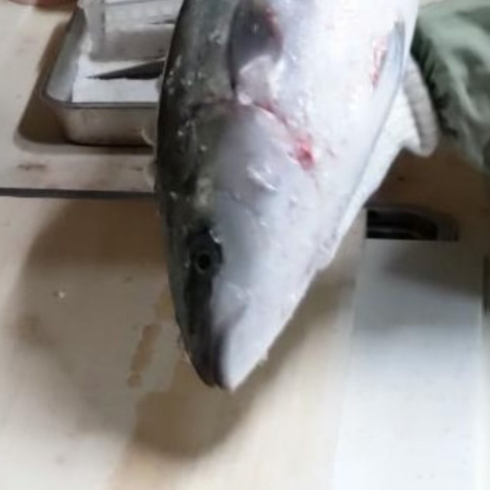 ぺんた