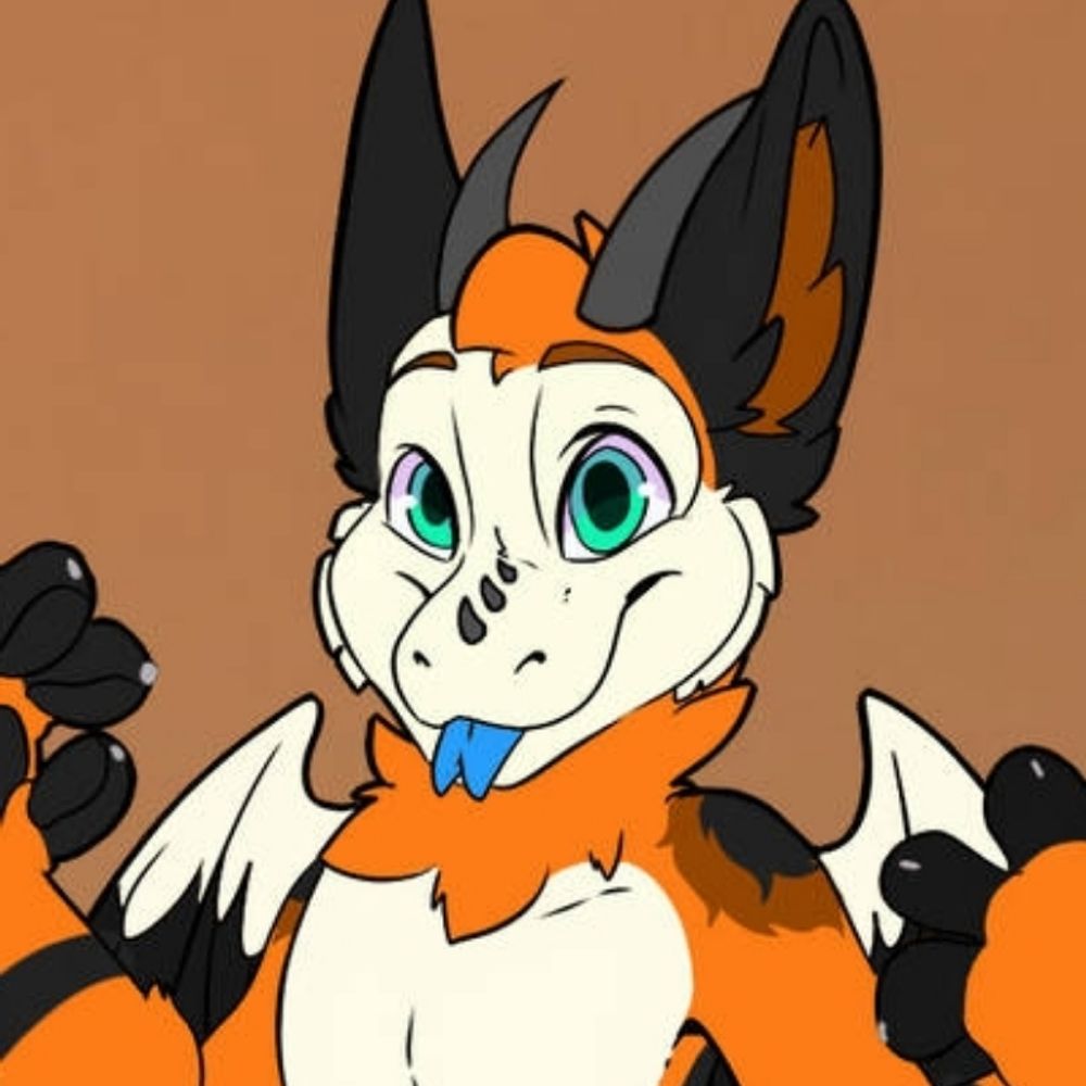 RawryFur