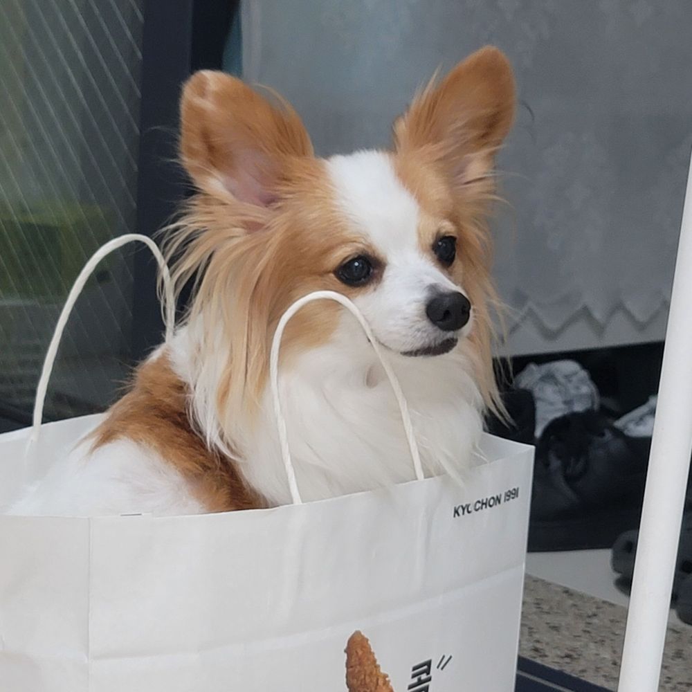 (휴휴)수박_