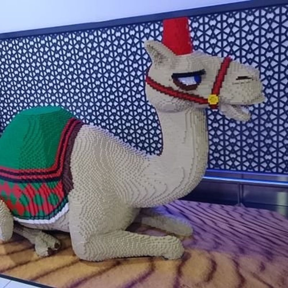 らくだのあしあと