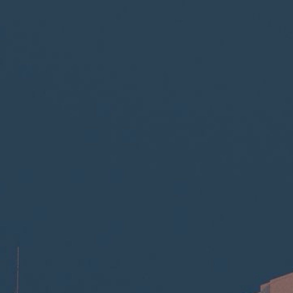 탈집