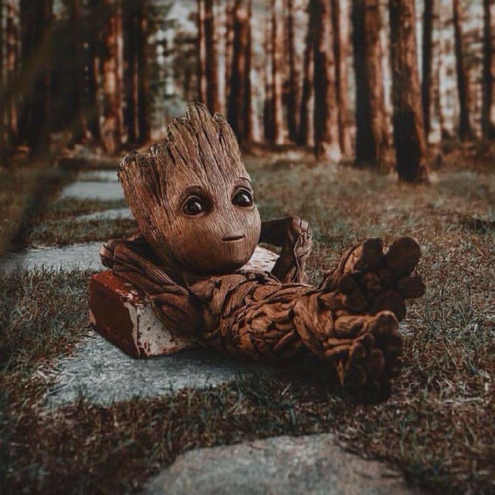 Groot