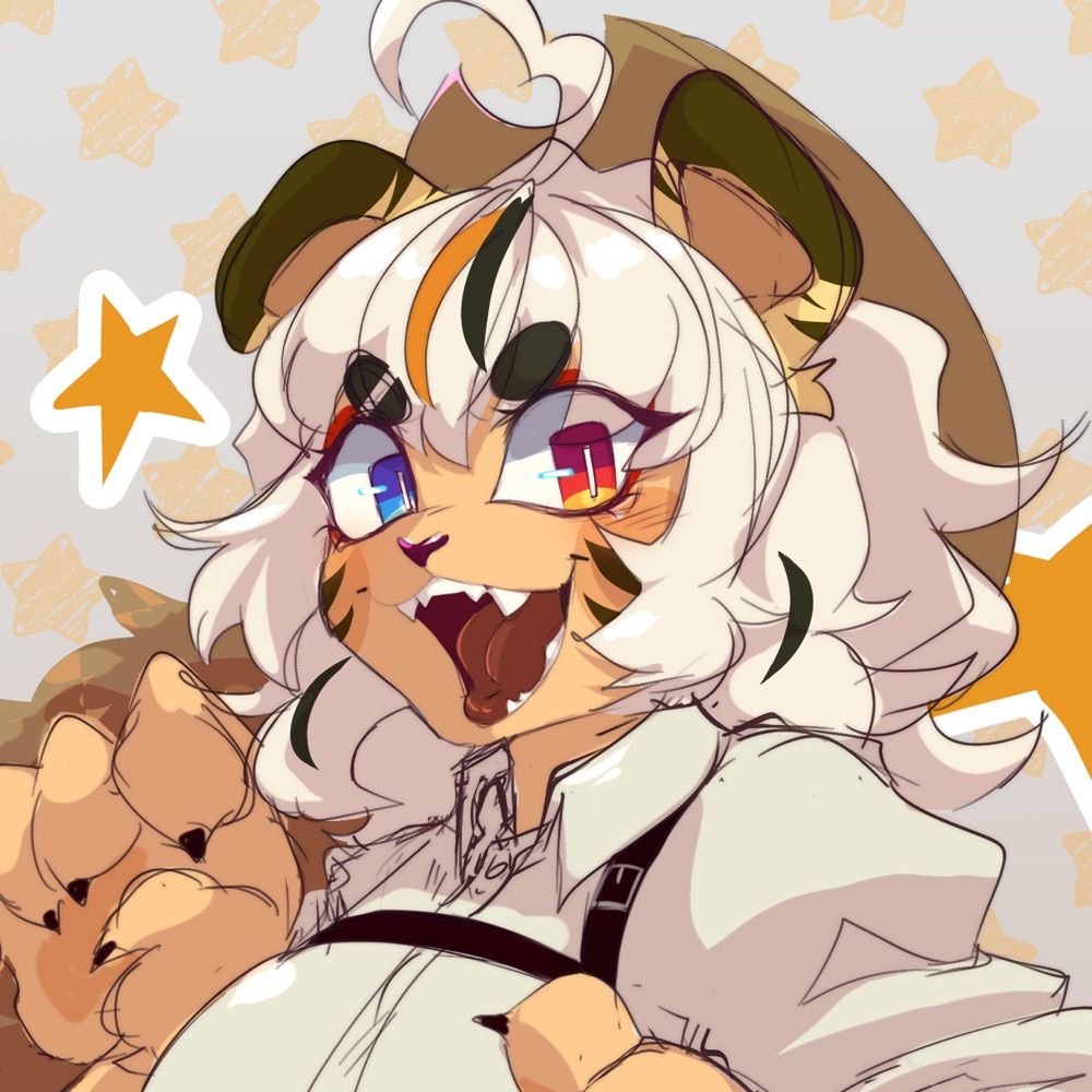 ⭐ | TORAGAO 📝【𝐒𝐈𝐋𝐋𝐘 𝐂𝐀𝐓】