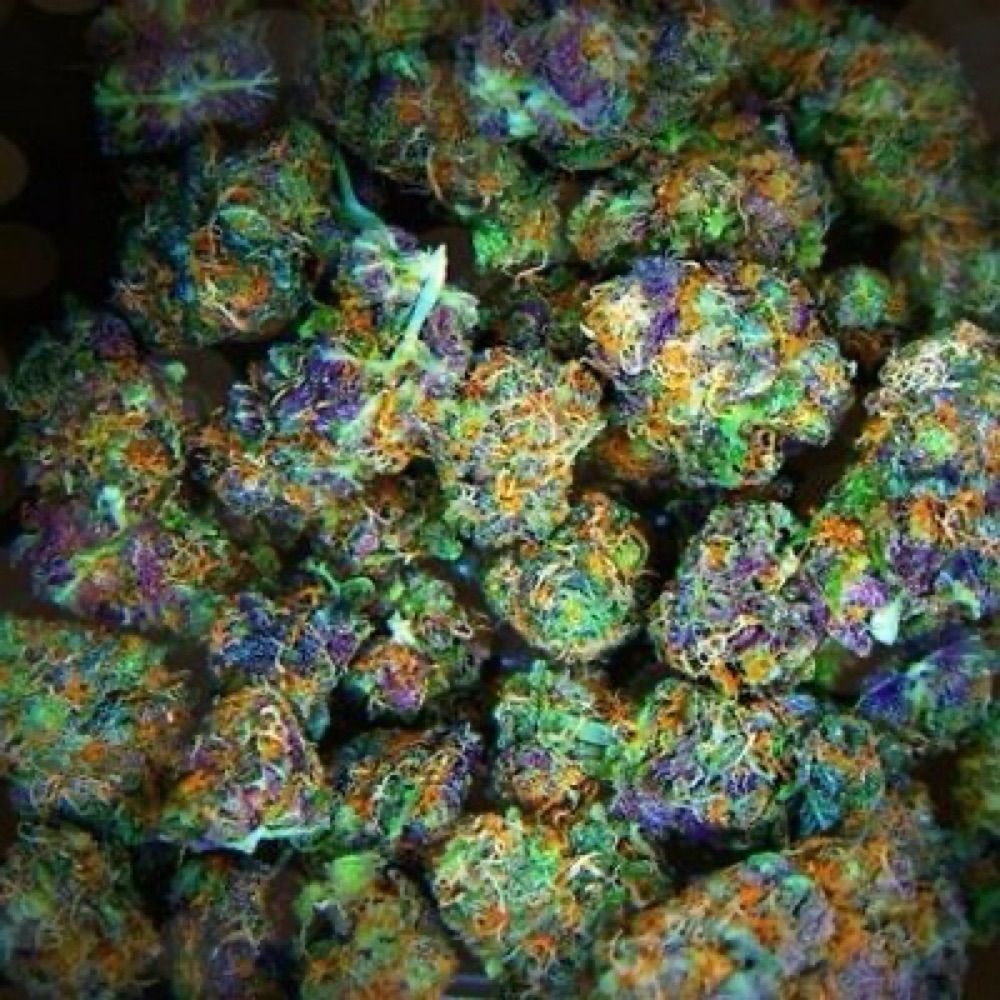 Weed Porns