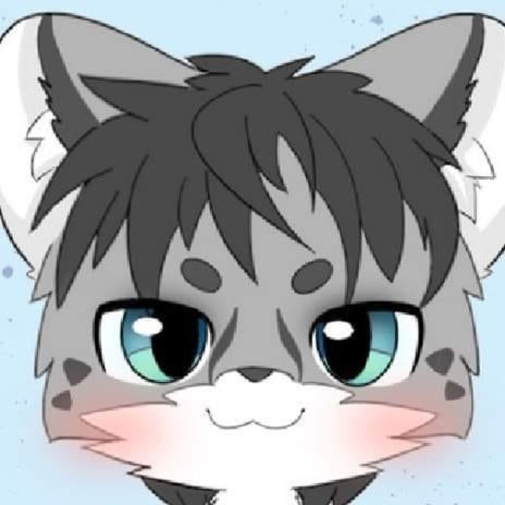 小貓雷