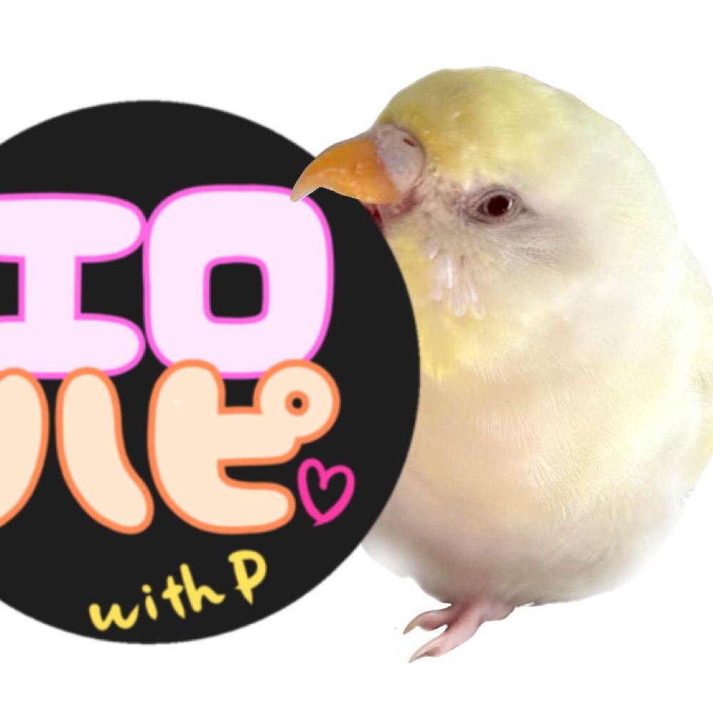 withP◆YouTube@相互フォロー